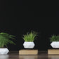 Levitation plant pot Relax-Decor™