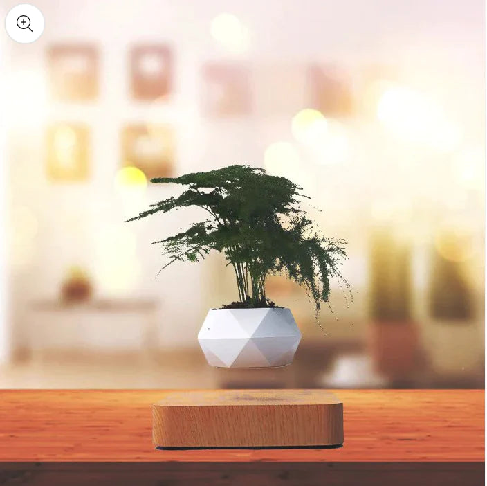 Levitation plant pot Relax-Decor™